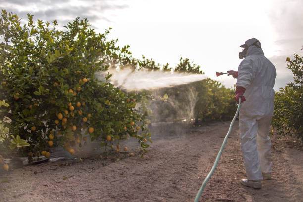 Best Flea Control Services  in Zolfo Springs, FL