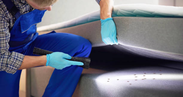 Trusted Zolfo Springs, FL Pest Control Experts
